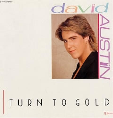 David Austin Turn To Gold 12" vinyl single (12 inch record / Maxi-single) Japanese DAU12TU177997