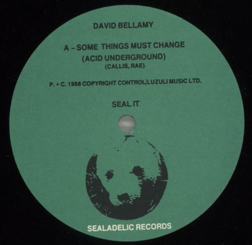 David Bellamy Some Things Must Change 12" vinyl single (12 inch record / Maxi-single) UK D3412SO879313
