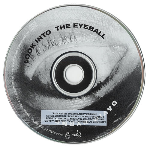 David Byrne Look Into The Eyeball CD album (CDLP) US BYNCDLO466113