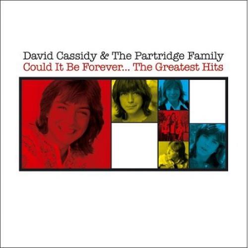 David Cassidy Could It Be Forever... The Greatest Hits CD album (CDLP) UK DVDCDCO379281