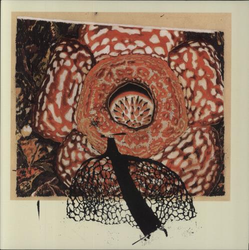 David Fenech Rainbow De Nuit - 180gm vinyl LP album (LP record) UK 8E0LPRA857332