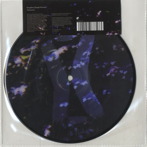 David Gahan Kingdom 7" vinyl picture disc (7 inch picture disc single) UK DGN7PKI416140