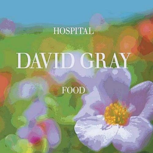 David Gray Hospital Food 7" vinyl single (7 inch record / 45) UK DGR07HO342782