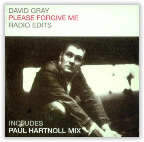 David Gray Please Forgive Me CD single (CD5 / 5") UK DGRC5PL419690
