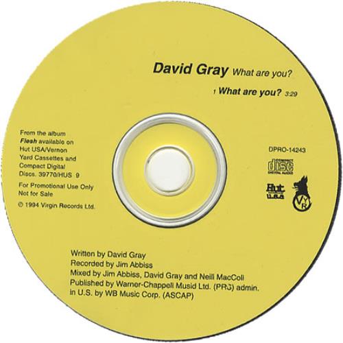 David Gray What Are You? CD single (CD5 / 5") US DGRC5WH412055