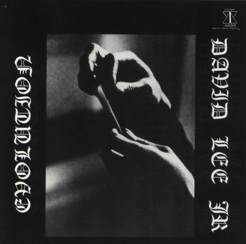 David Lee Jr. Evolution vinyl LP album (LP record) UK 8KXLPEV853677