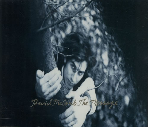 David McComb The Message CD single (CD5 / 5") UK DCBC5TH106968