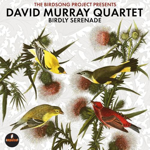 David Murray Birdly Serenade - Black Vinyl - Sealed 2-LP vinyl record set (Double LP Album) UK DD72LBI863416