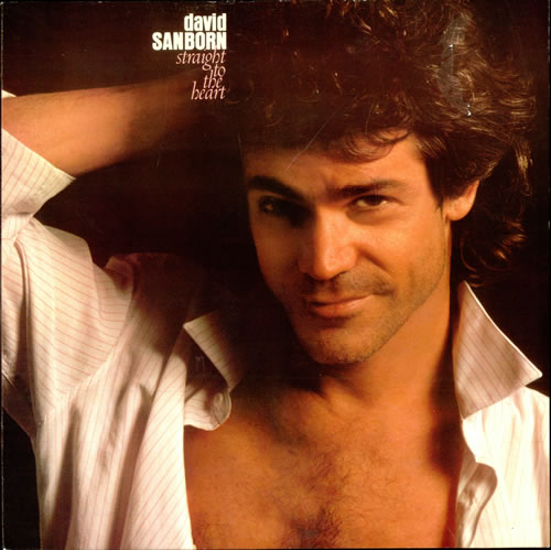 David Sanborn Straight To The Heart vinyl LP album (LP record) German DS8LPST501403