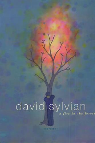 David Sylvian A Fire In The Forest - Trophies 3 book UK SYLBKAF334843