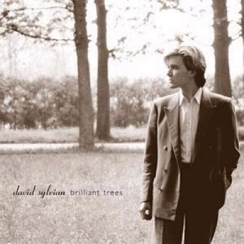 David Sylvian Brilliant Trees CD album (CDLP) UK SYLCDBR359783