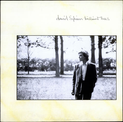 David Sylvian Brilliant Trees vinyl LP album (LP record) Canadian SYLLPBR522475