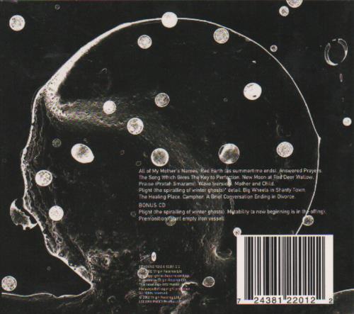 David Sylvian Camphor 2 CD album set (Double CD) UK SYL2CCA213363