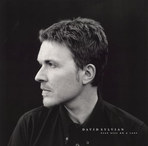David Sylvian Dead Bees On Cake - 180gm 2-LP vinyl record set (Double LP Album) UK SYL2LDE864634