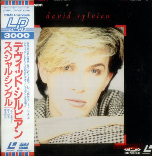 David Sylvian Red Guitar laserdisc / lazerdisc Japanese SYLLZRE543459