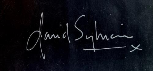 David Sylvian Taking The Veil - Autographed 12" vinyl single (12 inch record / Maxi-single) UK SYL12TA330523