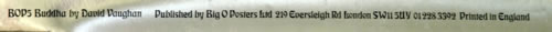 David Vaughan Buddha poster UK DVVPOBU293627
