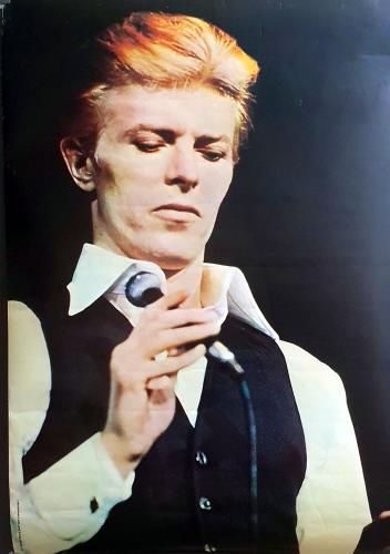 David Bowie Thin White Duke Poster poster UK BOWPOTH753356