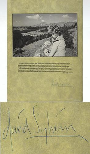 David Sylvian Perspectives 82/84 - Autographed UK book (352918) BOOK
