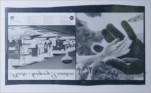 Dead Kennedys Plastic Surgery Disasters artwork German DKNARPL513876