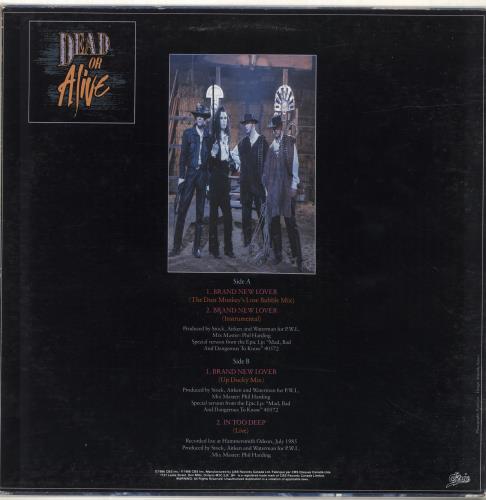 Dead Or Alive Brand New Lover 12" vinyl single (12 inch record / Maxi-single) Canadian DOA12BR100813