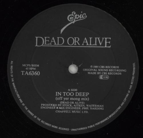 Dead Or Alive In Too Deep 12" vinyl single (12 inch record / Maxi-single) UK DOA12IN18293
