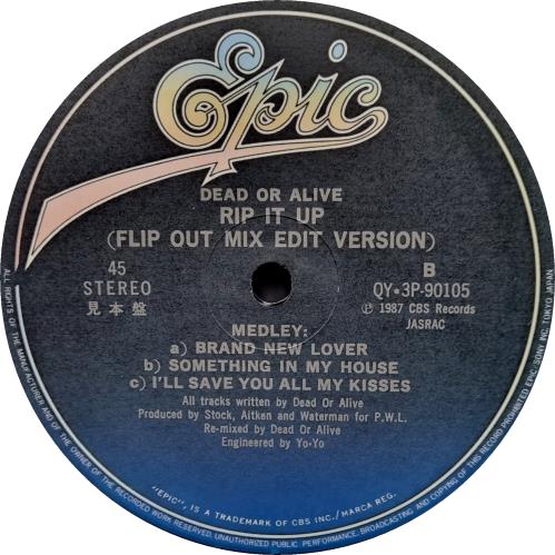 Dead Or Alive Rip It Up Flip Mix 12" vinyl single (12 inch record / Maxi-single) Japanese DOA12RI70250