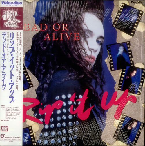 Dead Or Alive Rip It Up laserdisc / lazerdisc Japanese DOALZRI296462