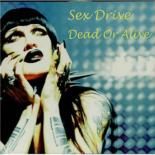 Dead Or Alive Sex Drive 12" vinyl single (12 inch record / Maxi-single) French DOA12SE406366