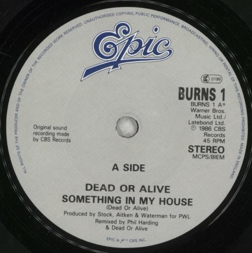 Dead Or Alive Something In My House 7" vinyl single (7 inch record / 45) UK DOA07SO34267