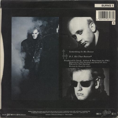 Dead Or Alive Something In My House 7" vinyl single (7 inch record / 45) UK DOA07SO34267