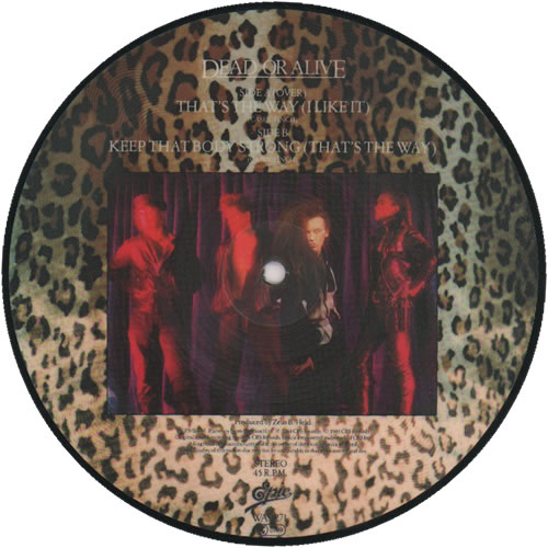 Dead Or Alive That's The Way I Like It 7" vinyl picture disc (7 inch picture disc single) UK DOA7PTH10393