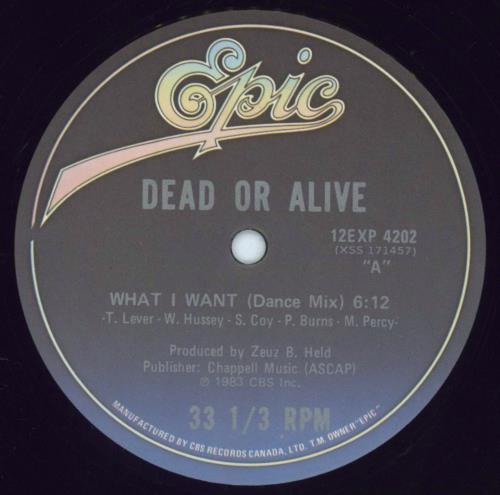 Dead Or Alive What I Want 12" vinyl single (12 inch record / Maxi-single) Canadian DOA12WH100807