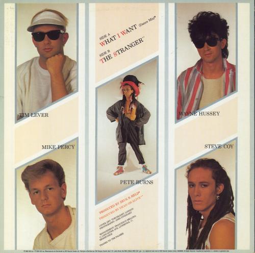 Dead Or Alive What I Want 12" vinyl single (12 inch record / Maxi-single) Canadian DOA12WH100807