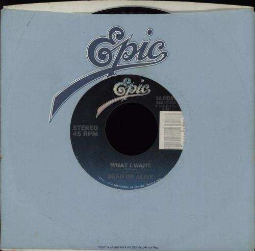Dead Or Alive What I Want 7" vinyl single (7 inch record / 45) US DOA07WH751797