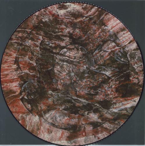 Death In June The Wall Of Sacrifice picture disc LP (vinyl picture disc album) UK DIJPDTH794662