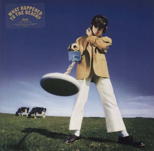 Declan McKenna What Happened To The Beach - Cow Print Picture Disc - Autographed Print picture disc LP (vinyl picture disc album) UK 291PDWH881098