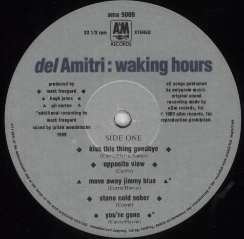 Del Amitri Waking Hours - 2nd - EX vinyl LP album (LP record) UK DELLPWA803377