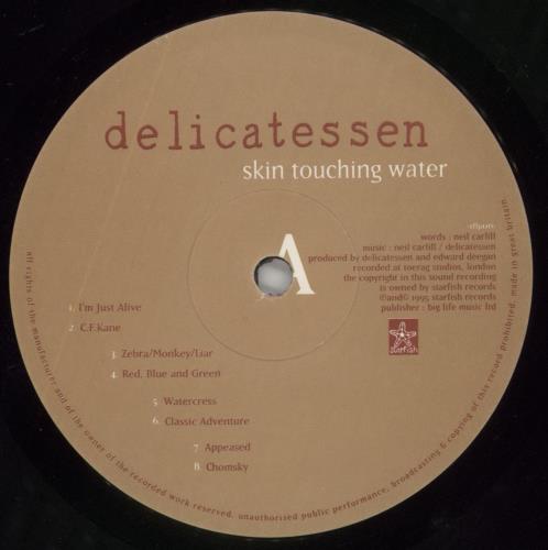 Delicatessen Skin Touching Water vinyl LP album (LP record) UK D4LLPSK859367