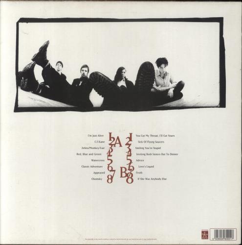 Delicatessen Skin Touching Water vinyl LP album (LP record) UK D4LLPSK859367