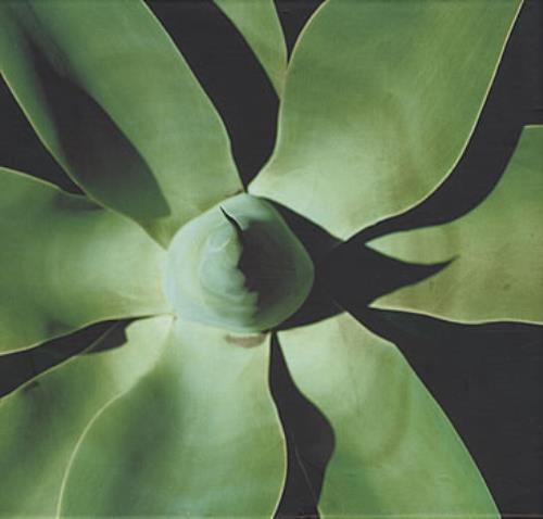 Depeche Mode Exciter / Ultra 2 CD album set (Double CD) French DEP2CEX379284