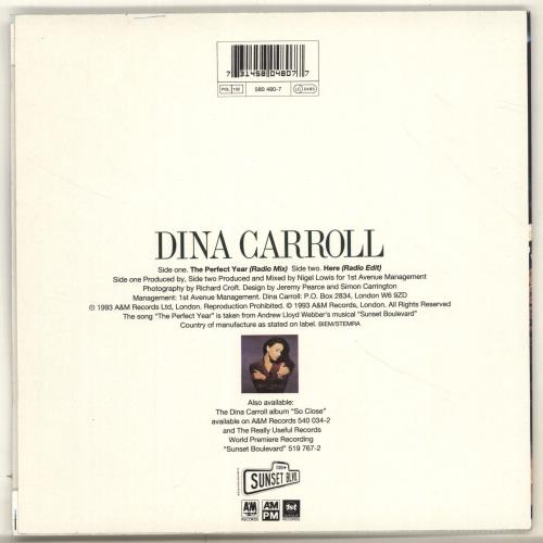 Dina Carroll The Perfect Year 7" vinyl single (7 inch record / 45) UK DNC07TH187849
