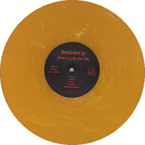 Dinosaur Jr You're Living All Over Me vinyl LP album (LP record) US DJRLPYO346925