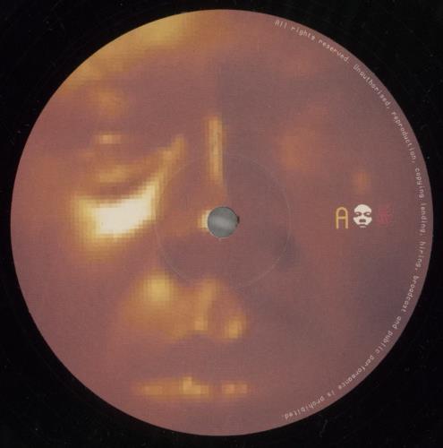 Divine Styler Directrix 2-LP vinyl record set (Double LP Album) UK Y-V2LDI888273