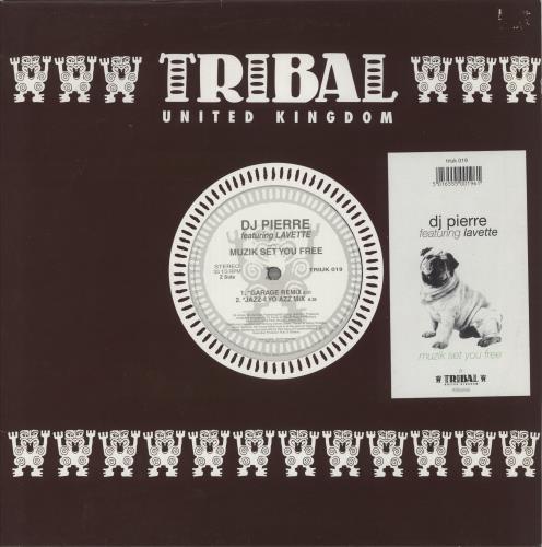 DJ Pierre Muzik Set You Free 12" vinyl single (12 inch record / Maxi-single) UK DZF12MU641981