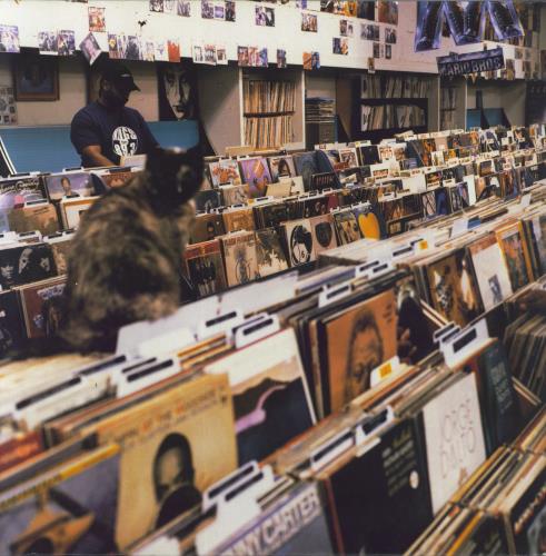 DJ Shadow Endtroducing 2-LP vinyl record set (Double LP Album) UK D.S2LEN820943