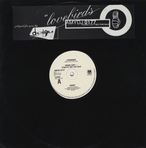 Dodgy Lovebirds 12" vinyl single (12 inch record / Maxi-single) UK DOD12LO40238