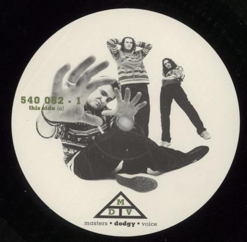 Dodgy The Dodgy Album vinyl LP album (LP record) UK DODLPTH624466