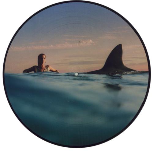 Dua Lipa Radical Optimism picture disc LP (vinyl picture disc album) UK 1W7PDRA868973