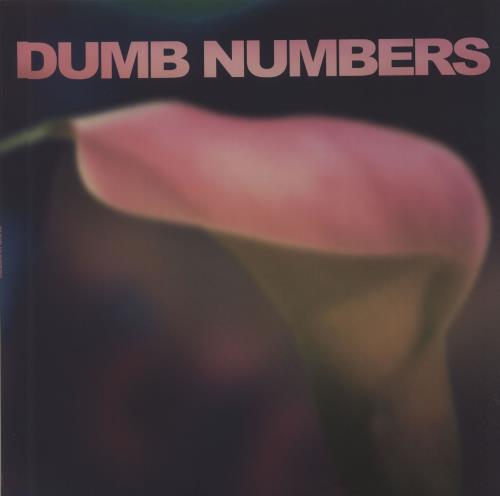 Dumb Numbers Dumb Numbers - Pink & Purple Vinyl + Numbered vinyl LP album (LP record) US I9PLPDU675888